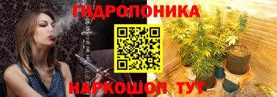 mdpv Можга