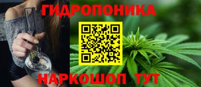 прущие грибы Малоярославец