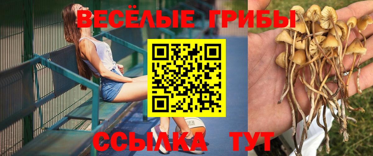 Псилоцибиновые грибы Magic Shrooms  Вход с VPN  купить наркотик  Фурманов 